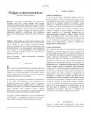 Galgas extensiometricas