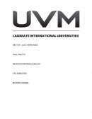NEGOCIOS INTERNACIONALES. BIENES SUSTITUTIVOS Y COMPLEMENTARIOS