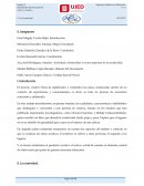 Actividad a desarrollar: Los tres aspectos de la creatividad