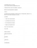 ELABORACION DE SHAMPOO Y CREMA PARA EL CUIDADO DEL CABELLO Y LA PIEL