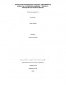 Dinámica de grupos: principio generales