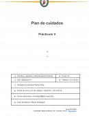 Plan de cuidados Prácticum V