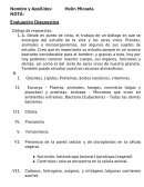 EVALUACION DIAGNOSTICA