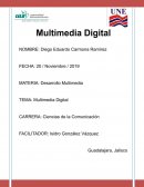 Multimedia digital