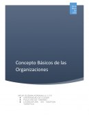 Ensayo de los conceptos básicos de la organización