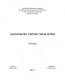 Lanzamiento vertical