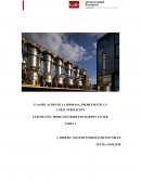 BAGAZO DE CAÑA DE AZÚCAR