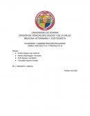 PROYECTO 2: SECTOR PECUARIO Y SISTEMAS ECONÓMICOS