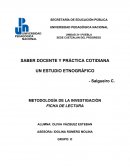 Saber docente y práctica cotidiana un estudio etnográfico