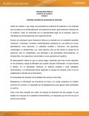 Control Interno en Auditoria de Sistemas