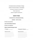 DIAGNÓSTICO ORGANIZACIONAL (ENERO – MAYO 2018)