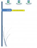 Procesos Administrativos de Negocios .Auditoría Aguas Andinas