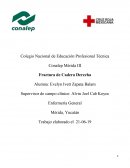 Proceso enfermero fx de cadera