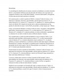 La metodología de identificación de azúcares