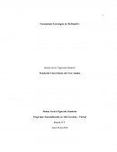 Pensamiento Estratégico de McDonald’s