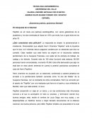 ENSAYO película Papilion