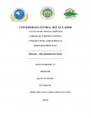 Informe – Día Mundial del Suelo