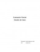 Evaluación Parcial: Estudio de Caso: liderazgo