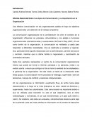 Informe Gerencial Sobre Los tipos de Comunicación y su Importancia en la Organización