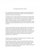 Una pequeña reflexión sobre el mundo