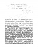 ESCRITO ARGUMENTATIVO. DISEÑO DEL PROCESO DE PRODUCCION