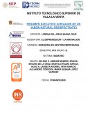 RESUMEN EJECUTIVO. PROYECTO JABON DESINFECTANTE NATURAL