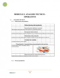 MODULO 3: ANALISIS TECNICO - OPERATIVO. Página 1