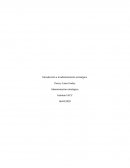 Dirección y planificación de recursos humanos