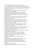 Cuáles Competencias son valoradas como clave en un Gerente?