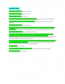 Dialogo Ingles