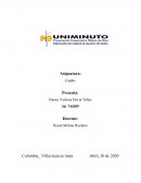 METODOLOGIA ALTERNA A CAUSA DE LA PANDEMIA