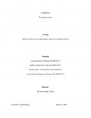 Informe sobre caso psicopatológico desde la evaluación clínica