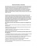 Derechos sociales y culturales