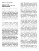 MEMORIA HISTORICA