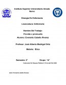 Ensayo de provida