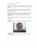 Formulación de investigación. ¿Qué es ser un emprendedor?