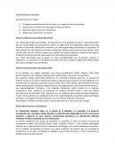 Gametogenesis Humana