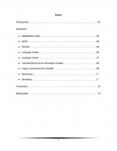 Alfabetidad visual. Proceso constructivo de la percepción