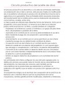 Circuito productivo del aceite de oliva