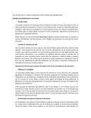 Análisis comparativo sobre las ideas de la globalización