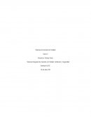 Sistema Integrado de Gestión en Calidad, Ambiente y Seguridad
