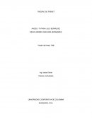 Sistema de informacion geometrica