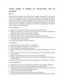 ¿Cómo trabaja la brigada de comunicación ante un incendio?