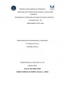 INFORME CRITICO SNOAI