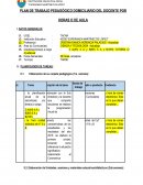 PLAN DE TRABAJO PEDAGÓGICO DOMICILIARIO DEL DOCENTE POR