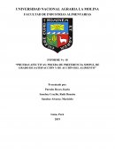 PRUEBA DE PREFERENCIA SIMPLE ,DE GRADO DE SATISFACCION Y DE ACCION DEL ALIMENTO