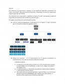Caso empresa “El Solar”