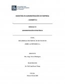 DESARROLLO DE PROYECTO DE NEGOCIO AMBULACÓPTEROS S.A