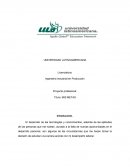 Proyecto profesional: Título: MIS METAS