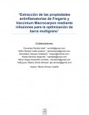 Evolución histórica y teorías médicas sobre la dismenorrea primaria